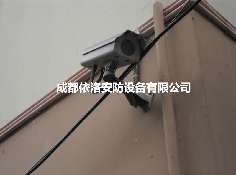 &#80;&#84;&#30495;&#20154;&#65288;&#20013;&#22269;&#65289;&#23448;&#26041;&#32593;&#31449;