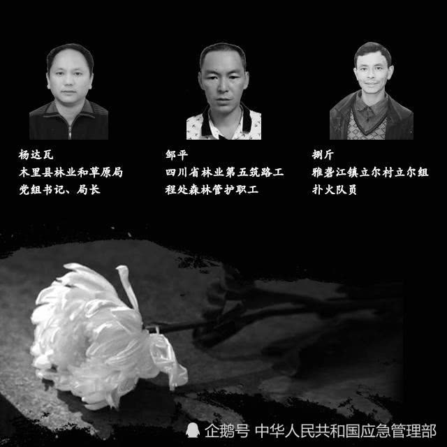 &#80;&#84;&#30495;&#20154;&#65288;&#20013;&#22269;&#65289;&#23448;&#26041;&#32593;&#31449;